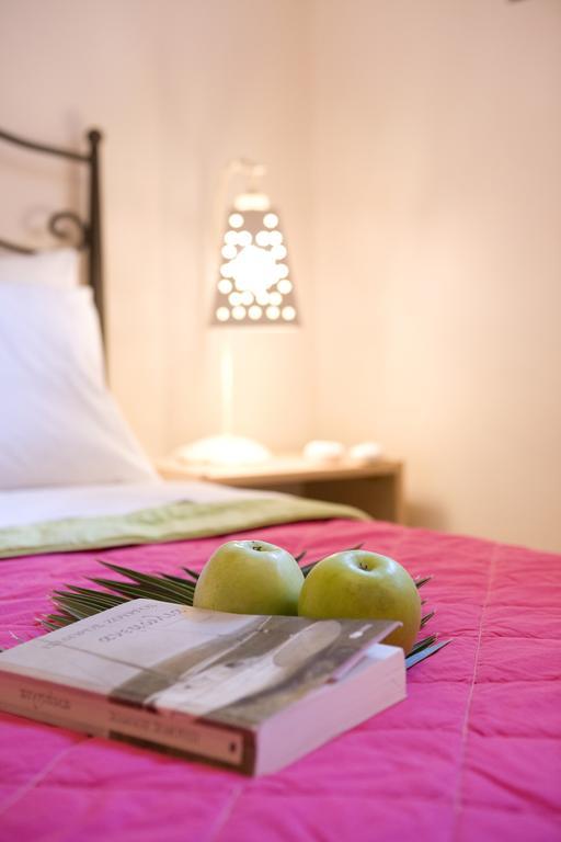 Anemolia Apartments Vasiliki  Room photo
