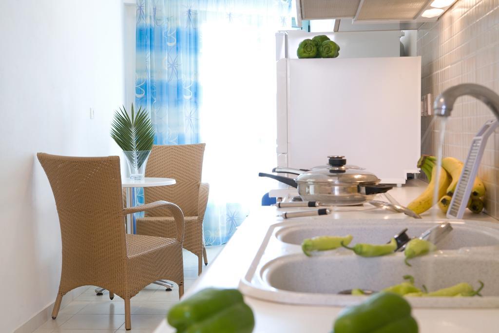 Anemolia Apartments Vasiliki  Room photo